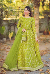 Women's Festive Wear Collection- Elegant Wedding, Eid & Party Dresses